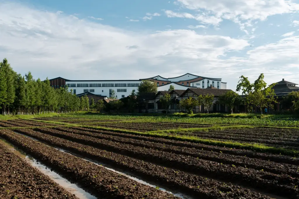 重庆周边跟团游热门线路行程设计与体验升级方案