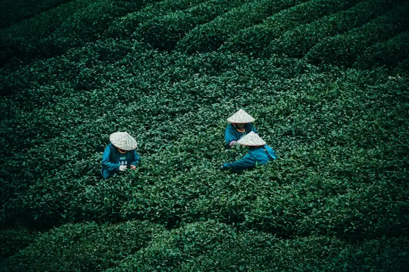 重庆出发三峡游轮线路全解析：如何根据行程天数选择合适的游轮舱位