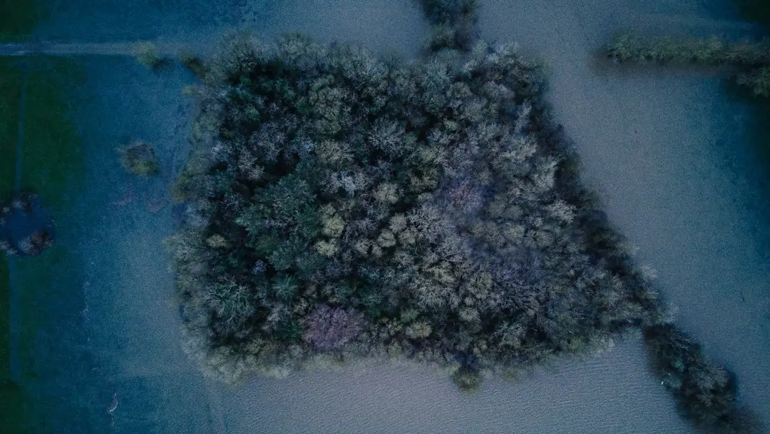 三峡游轮航线选择指南：重庆至宜昌不同舱位与行程天数对比解析