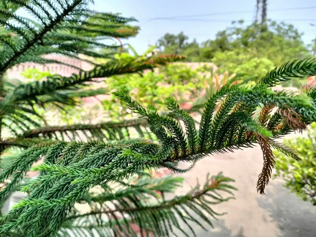 三峡游轮与周边跟团游怎么选？不同天数与预算的线路产品对比说明正文配图 1